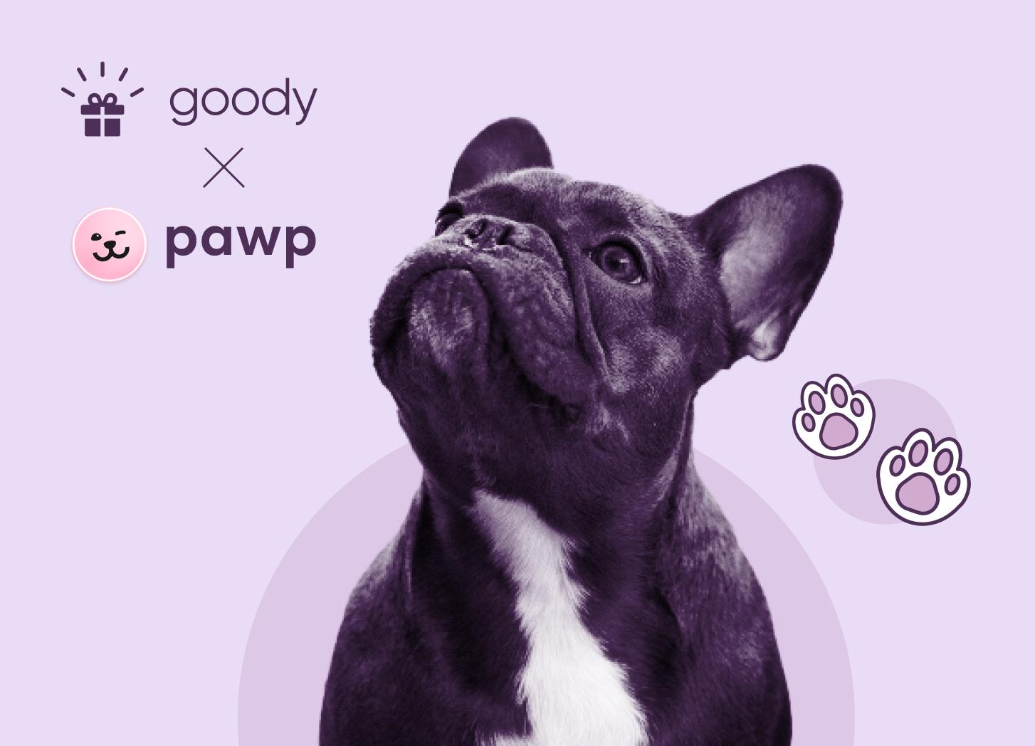 How a Pet Care Brand Uses Goody to Retain Its Customers and Build